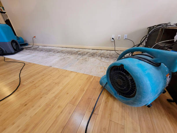 Professional Basement Flood Cleanup technician working in Berwick, PA